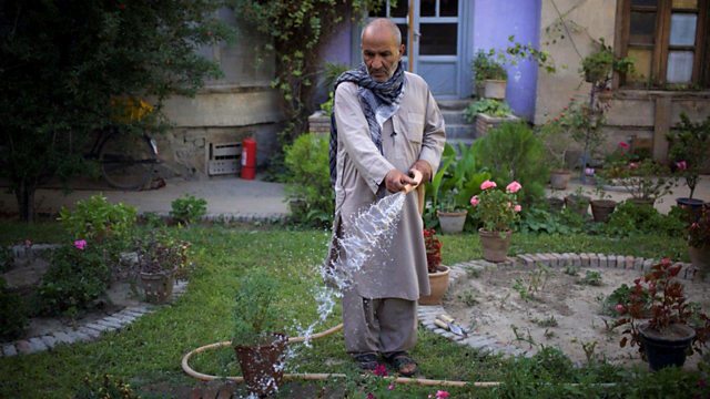 The Gardeners of Kabul