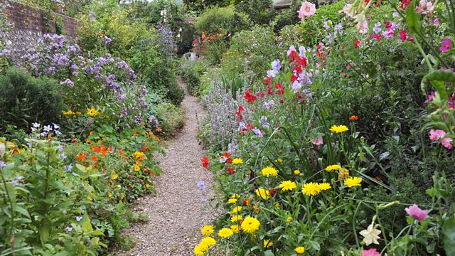 BBC Radio 4 - Radio 4 in Four - Nine handy gardening hints for autumn