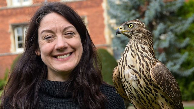 book h is for hawk by helen macdonald