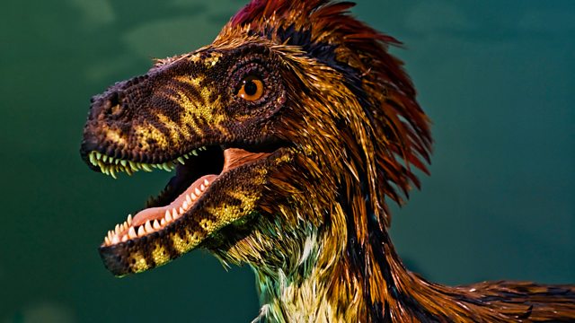 which dinosaur had feathers