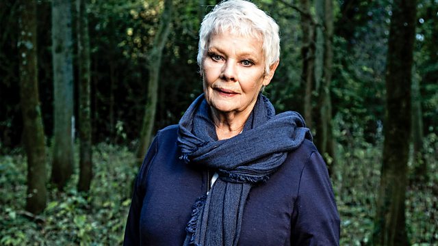 Judi dench pics