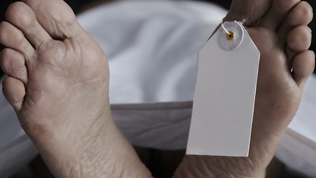hospice morphine hasten death