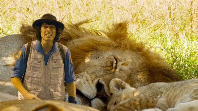 Andy and the Lions