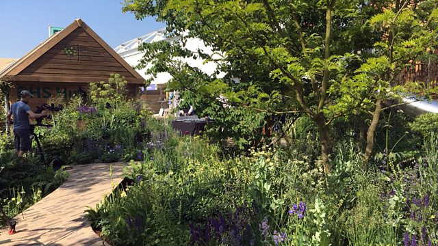 Bbc Radio 4 - All In The Mind, The Feel Good Garden At Chelsea Flower 