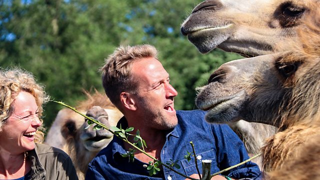BBC One - Animal Park, Summer Special 2018, Episode 2