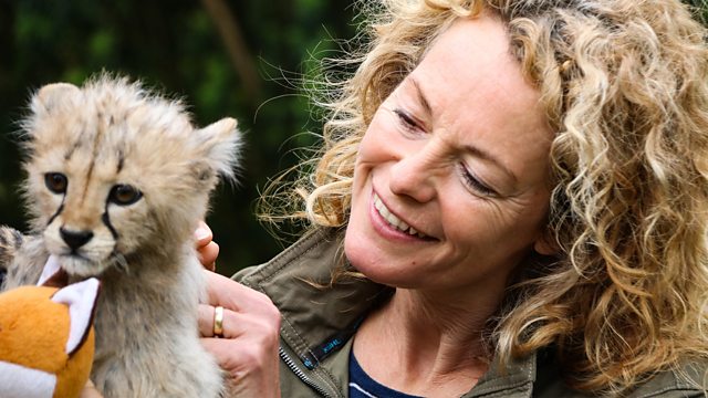 BBC One - Animal Park, Summer Special 2018, Episode 9