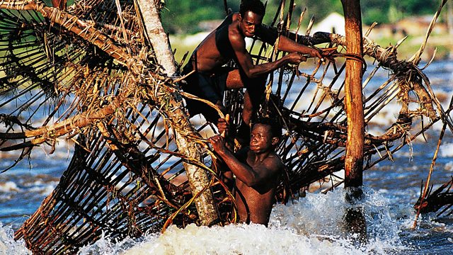 River Fishing Trap