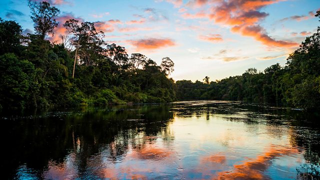 BBC Two - Earth's Great Rivers