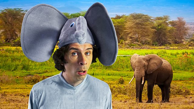 CBeebies - Andy's Raps, Animal, Elephant Stomp