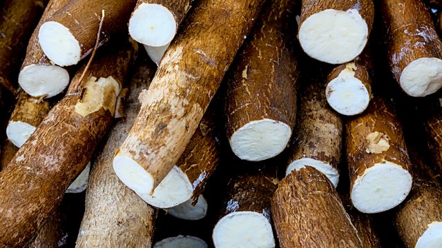 BBC World Service - 50 Things That Made the Modern Economy, Cassava