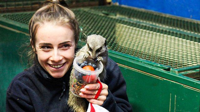 BBC One - Animal Park, Christmas Special, Episode 1