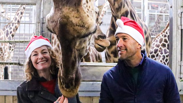 BBC One - Animal Park, Christmas Special, Episode 3