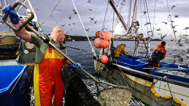 BBC Two - Cornwall: This Fishing Life, Series 1, Episode 1