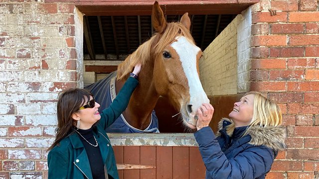 BBC Radio 4 - In Touch, e-scooters, Nicola Naylor and a blind bride