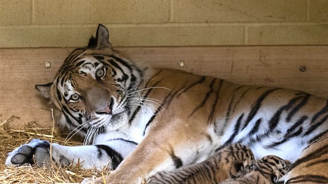 BBC One - Animal Park, 30-Minute Editions, Episode 15