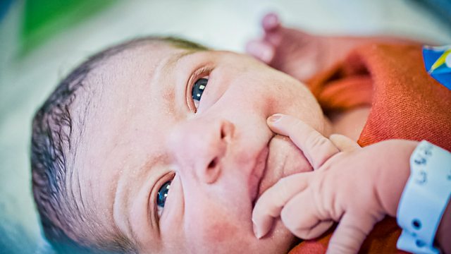 BBC One - Life And Birth