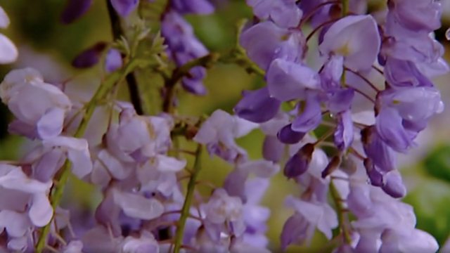 BBC Two - The A To Z Of TV Gardening, Original Series