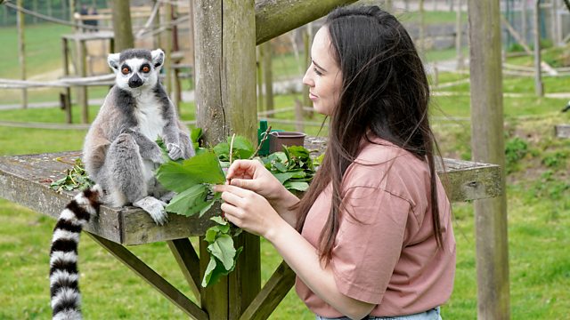 BBC One - Animal Park, Summer 2022, Episode 5