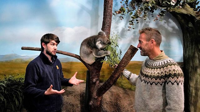 BBC One - Animal Park, Christmas 2022, Episode 2