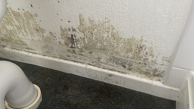 Bbc The Impact Of Damp And Mould 