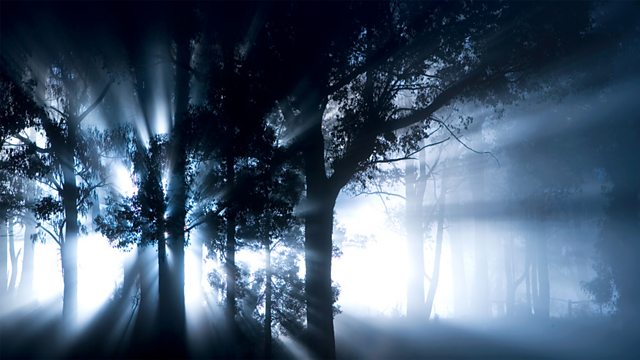 BBC Radio 4 - Algernon Blackwood's Ghost Stories