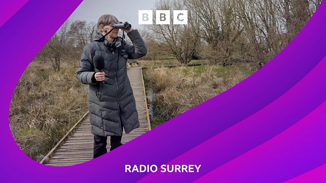 BBC Radio Surrey - BBC Radio Surrey, How Well Do You Know The Songs Of ...