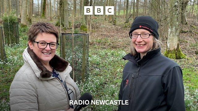 BBC Radio Newcastle - Gilly Hope on BBC Radio Newcastle, 24/11/2022, TV ...