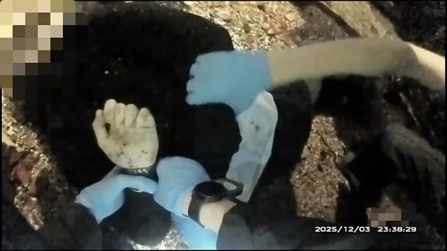 Police bodycam shows officers handcuffing Henry Nowak