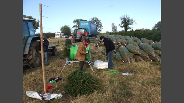 BBC Radio 4 - Open Country, Christmas in Norfolk