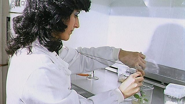 BBC Blogs - College of Journalism - How to research science topics