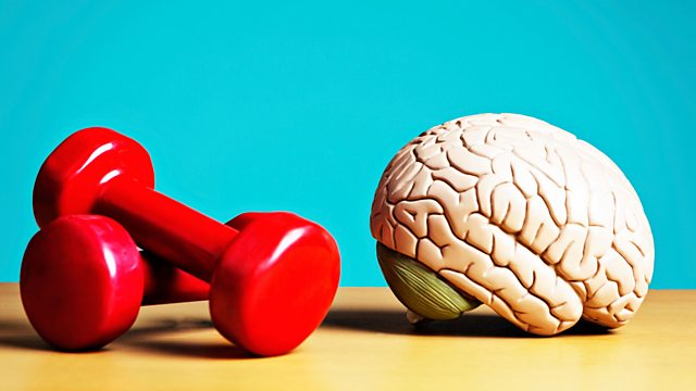 Bbc Radio 4 Radio 4 In Four Eight Ways To Boost Your Brain Power 7461