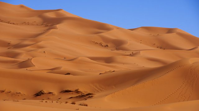 Characteristics of hot desert ecosystems - Hot deserts - AQA - GCSE