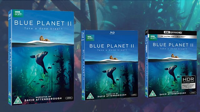 blue planet dvd cover bbc