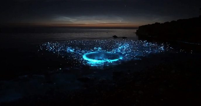 Sea Sparkle Causes Anglesey Coastline To Glow Bright Blue c News