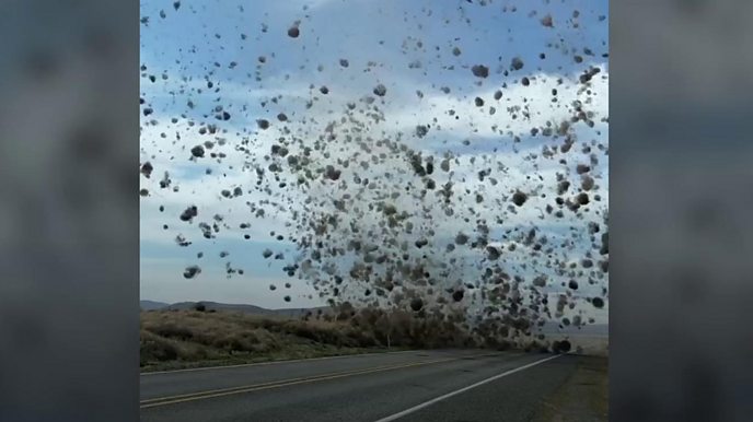 Washington man gets caught in a 'tumbleweed tornado': video