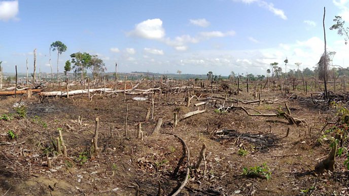 Περιοχή παράνομης αποψίλωσης της βλάστησης που προέρχεται από το βραζιλιάνικο δάσος του Αμαζονίου