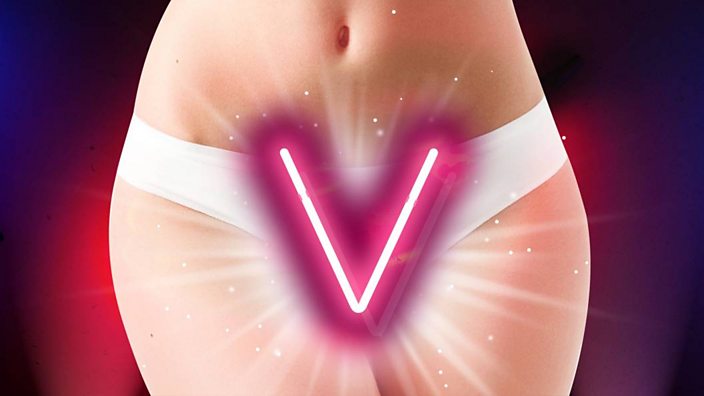 Vagina V