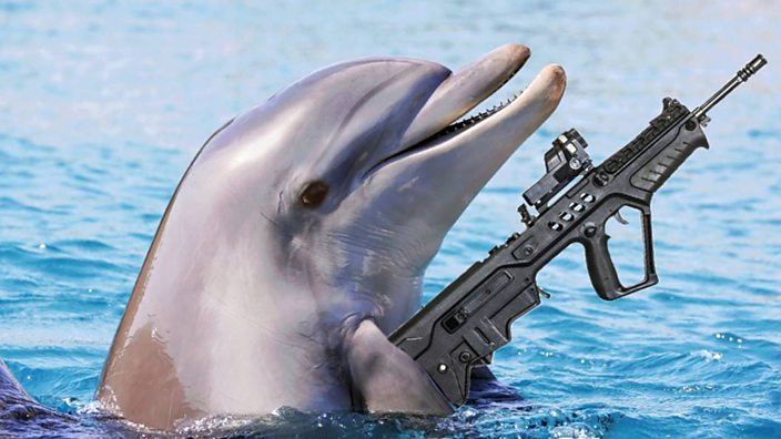 A dolphin with a gun