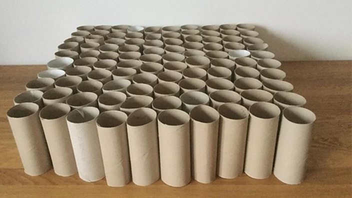 Toilet Roll Tubes 