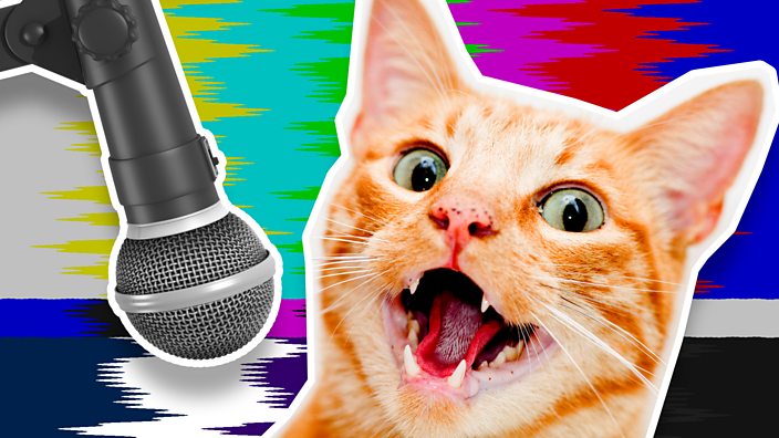 Cat with mic