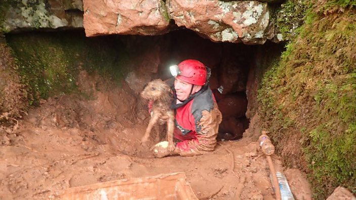 Dog being rescued from cave