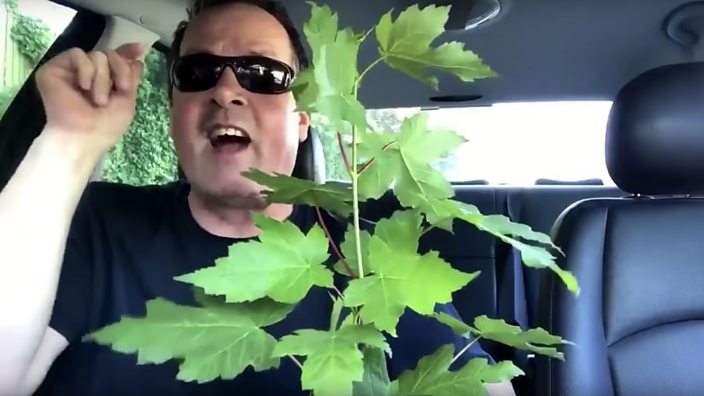 Screenshot of Chunky Marks video