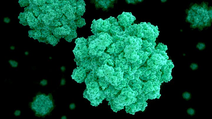 norovirus in cruise ships