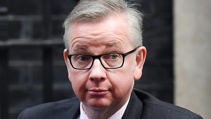 Image result for michael gove