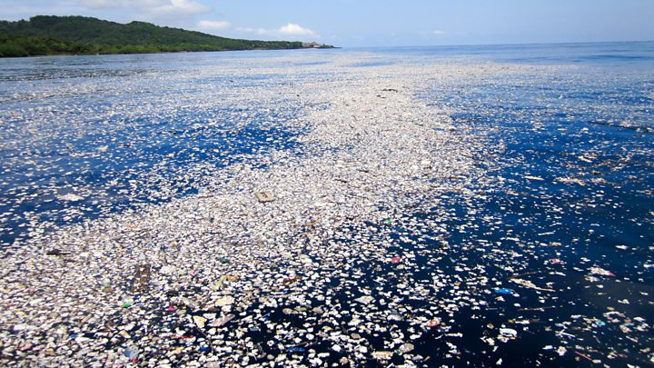 Plastic pollution: Scientists' plea on threat to ocean giants - BBC News