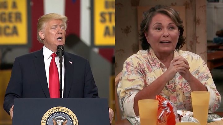 Image result for ABC drops Roseanne show after racist tweet
