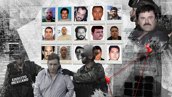 Sinaloa Cartel Organization Chart