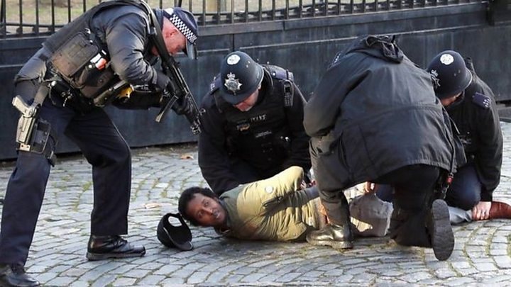 Man detained after police fire Taser during incident inside grounds of Parliament Man detained after police fire Taser during incident inside grounds of Parliament