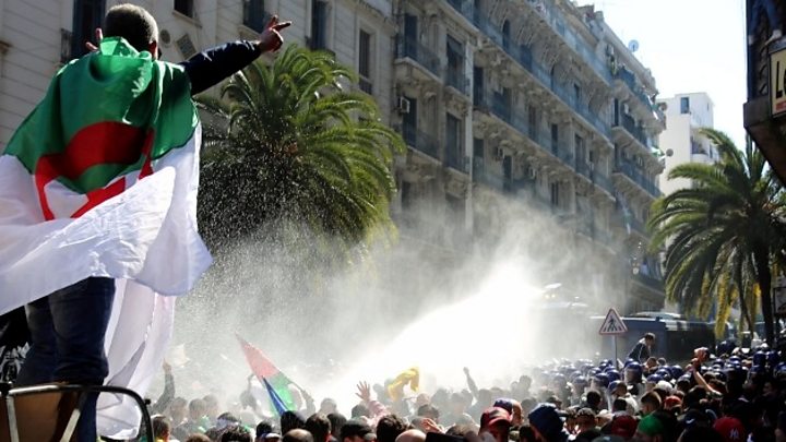 Image result for algeria protests