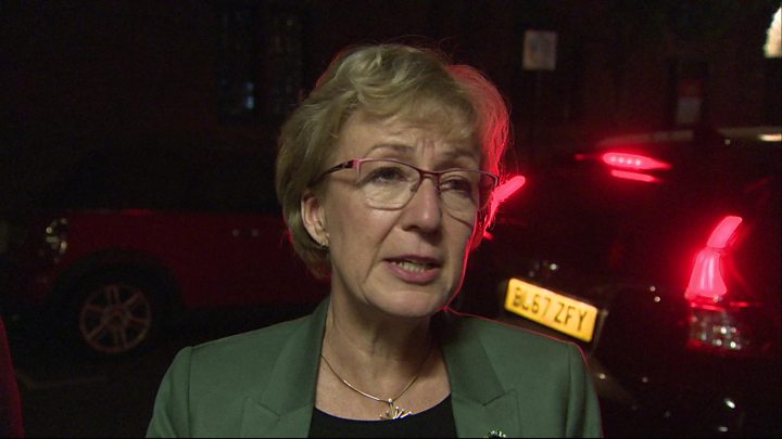 Commons Leader Andrea Leadsom Quits Government Over Brexit Bbc News 